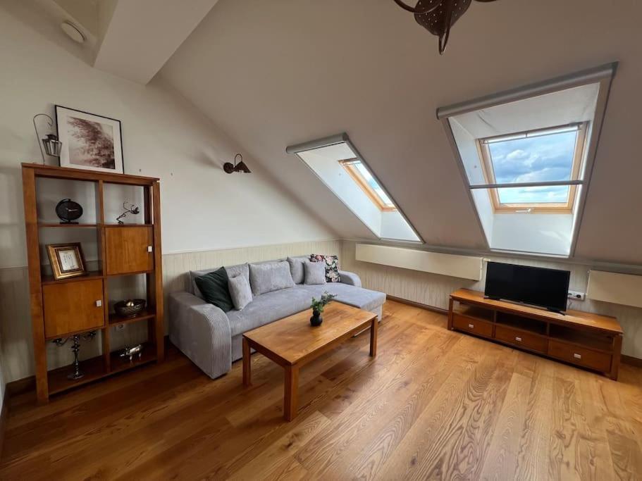 Old Town Apartment With Free Parking Vilnius Exterior photo